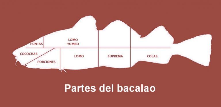 partes del bacalao
