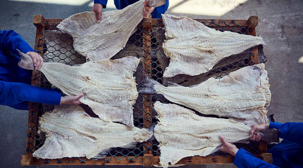 Bacalaos La Barajilla | ¿Por qué incluir el bacalao en tu dieta?