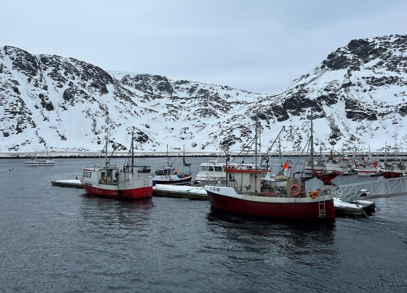 bacalao Skrei